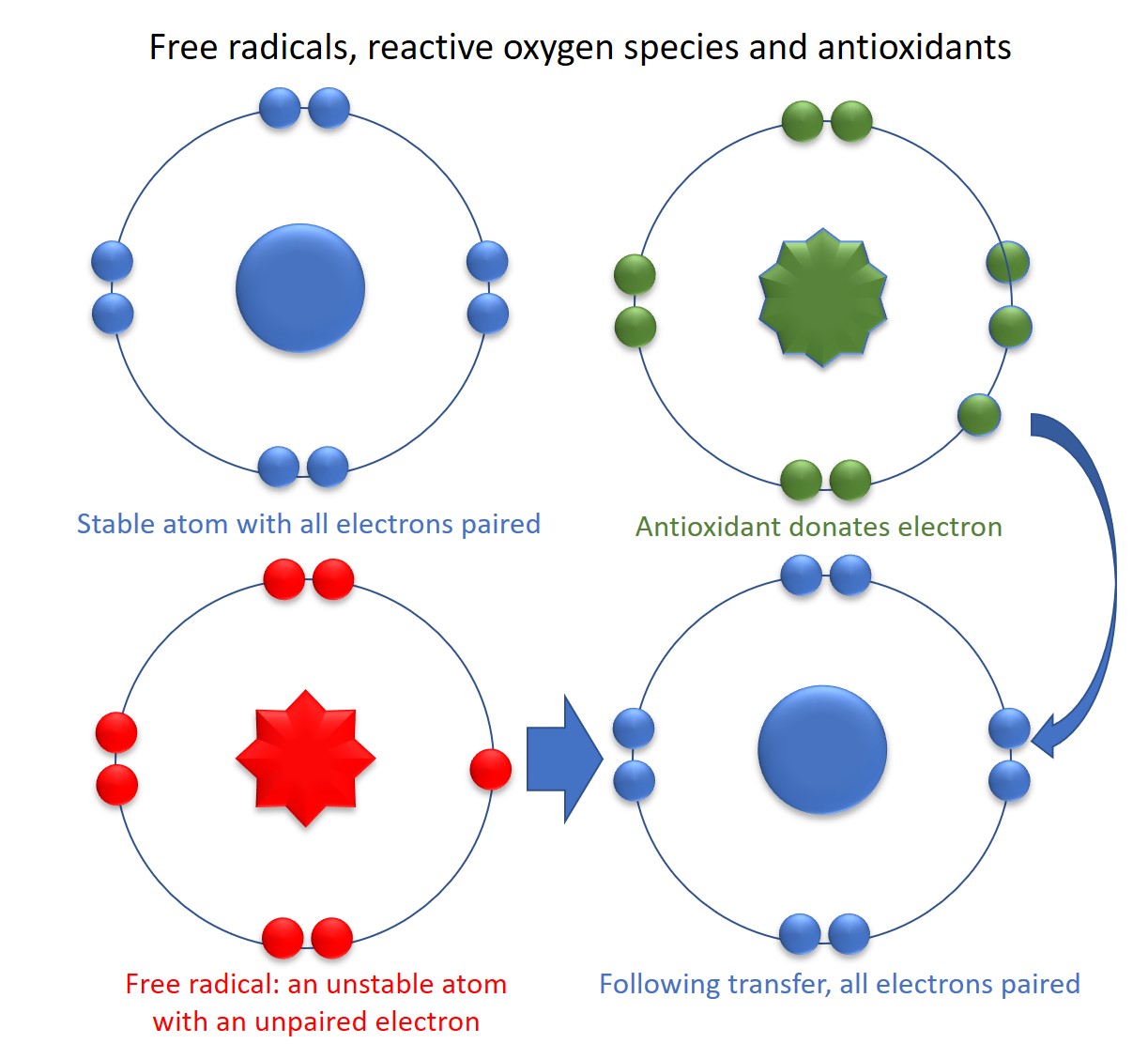 Antioxidant