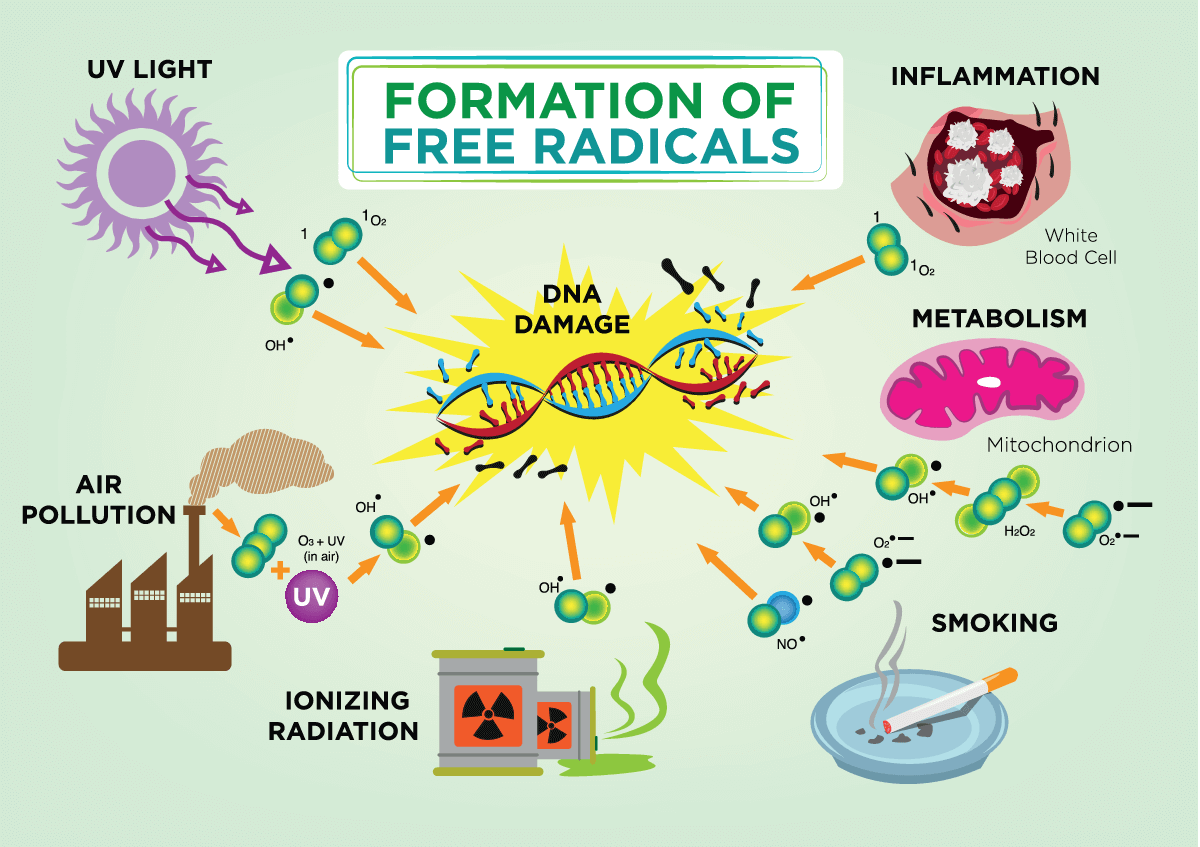 Sources of Free Radicals