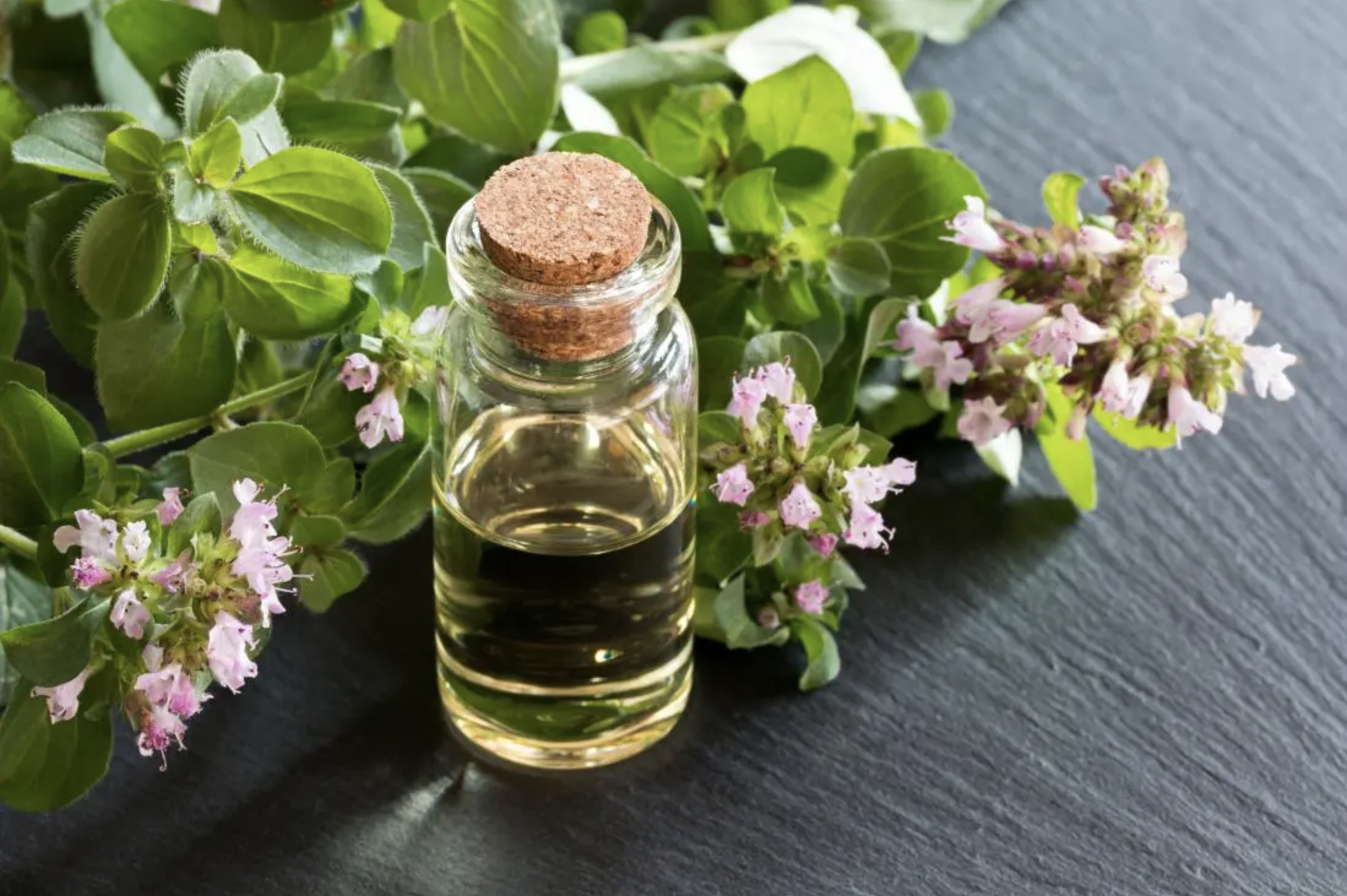 Oregano Oil